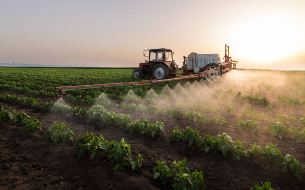 Best Pest Removal Services  in Poplarville, MS