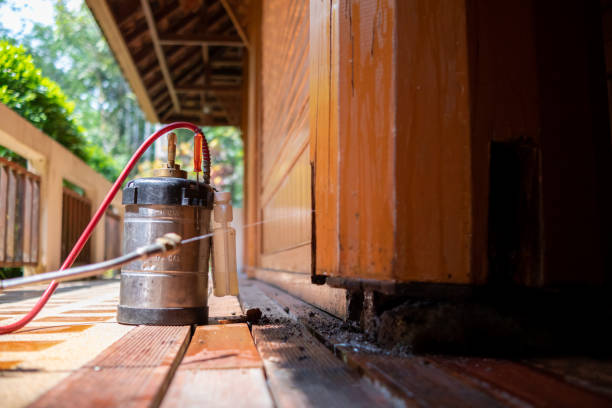 Best Pest Control Cost  in Poplarville, MS