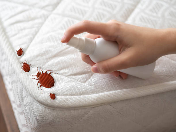 Best Wasp Removal Services  in Poplarville, MS